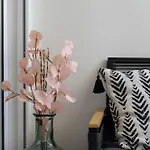 Zozo, Modern Two-bedroom